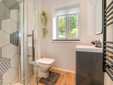 A bathroom with a toilet sink with vanity a shower with patterned tiles a window and a hanging plant at Yamthwaite in Grizedale near Hawkshead