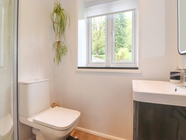 A bathroom with a toilet, sink, window, and hanging plant at Yamthwaite in Grizedale near Hawkshead