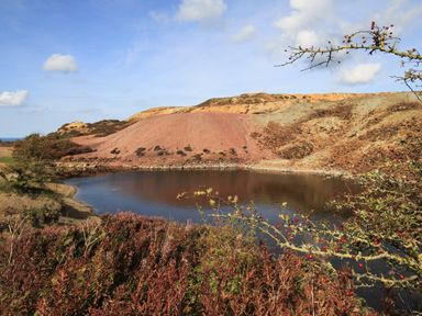 A pond surrounded by hills with dry vegetation and a tree branch with berries in the foreground at The Hawthorns in Llanfechell