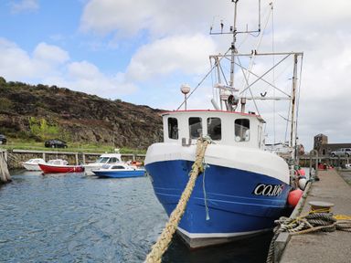 A blue and white fishing boat docked at a harbor with smaller boats and rocky hills in the background at The Hawthorns in Llanfechell