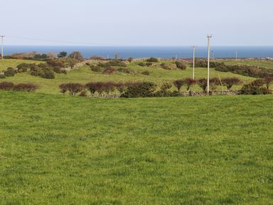 A field with green grass and bushes with the sea in the background at The Hawthorns in Llanfechell