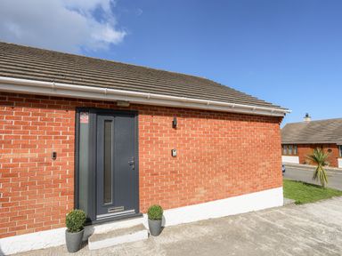 A front entrance of a brick house with a dark door and two potted plants on either side at The Hawthorns in Llanfechell