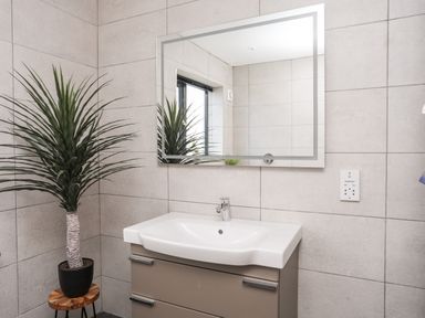 A bathroom sink with a rectangular mirror above and a potted plant on a stool at The Hawthorns in Llanfechell