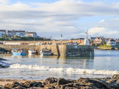 A small harbor with boats docked near a stone pier and houses in the background at The Hawthorns in Llanfechell