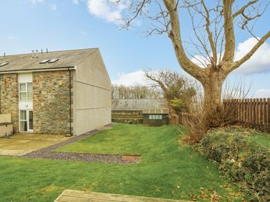 A garden area with grass a large tree a wooden shed and a stone house at Barn End 9 Stad Clynnog in Newborough