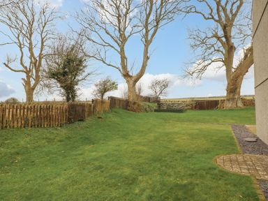 A grassy backyard with trees and wooden fences at Barn End 9 Stad Clynnog in Newborough