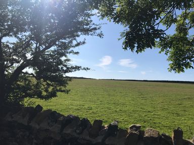 A grassy field bordered by a stone wall with trees and a blue sky at Barn End 9 Stad Clynnog in Newborough