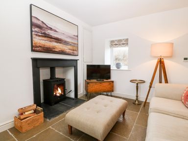 A living room with a fireplace television sofa and lamp at Rhytty Bach in Ty Croes near Rhosneigr