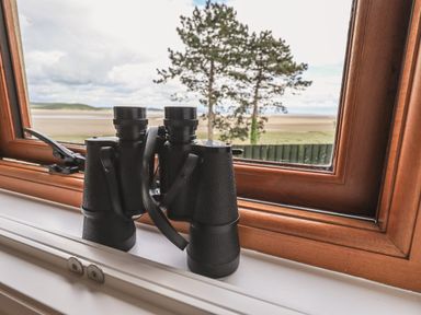 Binoculars on a wooden window sill with a view of a tree and landscape at Oversands Cottage in Grange-Over-Sands