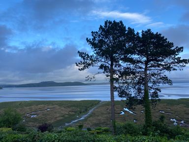 A coastal landscape with two tall trees in the foreground and water with grassy patches in the background at Oversands Cottage in Grange-Over-Sands