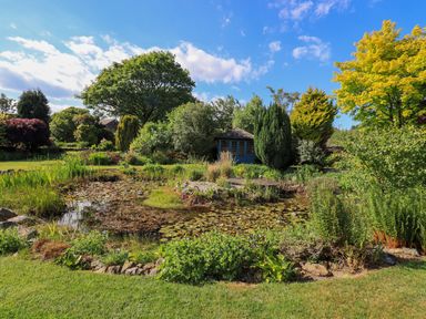 A garden with a pond and a shed at The Garden Suite at Fiddler Hall Barn Newby Bridge