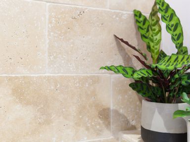 A potted plant with green patterned leaves against a tiled wall at The Reading Room in Seworgan near Constantine