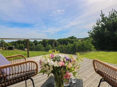 An outdoor wooden deck with two wicker chairs a table with a bouquet of flowers and a glass of water and a view of trees and grassy field at The Reading Room in Seworgan near Constantine