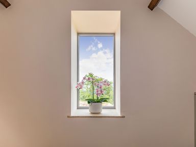 A window with a pink orchid plant on the sill and a view of trees and sky at Foxglove in Goathland