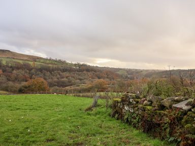 A grassy field with a stone wall on the right and hills with trees in the background at Foxglove in Goathland