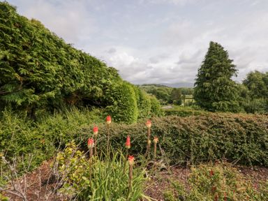 A garden with flowers and shrubs at Eildon Lodge in Gosforth