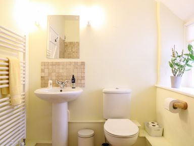 A bathroom with a sink toilet mirror towel rack and a plant on the window sill at Fox Hat Cottage in Chagford
