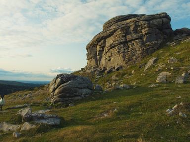 A hillside with large rock formations and scattered smaller rocks with grass and a distant view of trees and sky