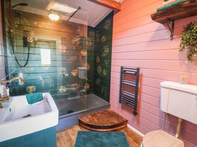 A bathroom with a walk in shower green and pink walls wooden floor and a white sink at Westfield Lodge Terrington near Sheriff Hutton