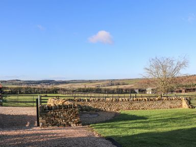 A countryside view with a stone wall fence green grass and a tree at Westfield Lodge in Terrington near Sheriff Hutton
