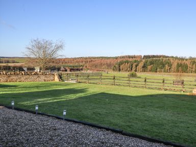 A garden with grass and a tree overlooking a fenced field and woodland at Westfield Lodge in Terrington near Sheriff Hutton