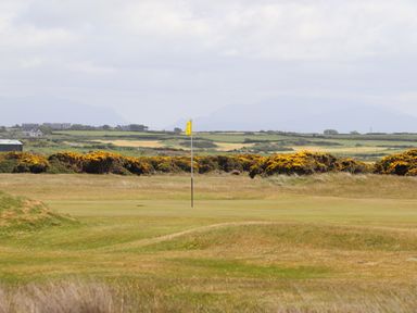 A golf course green with a yellow flag surrounded by bushes and fields at Trewan Lodge in Bryngwran near Rhosneigr
