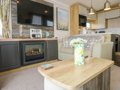 A living room with a fireplace television sofa and coffee table with flowers at Trewan Lodge Bryngwran near Rhosneigr