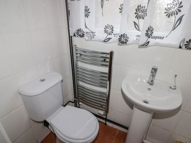 A bathroom with a toilet a pedestal sink and a wall-mounted towel radiator at The Chapel in Dol-y-Gaer near Pontsticill
