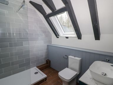 A bathroom with a shower area toilet and sink under a skylight window at The Chapel in Dol-y-Gaer near Pontsticill