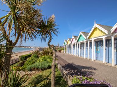 A row of colorful beach huts along a path near sandy beach with palm trees and greenery at Anchors Away in Weymouth