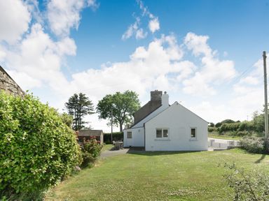 A white cottage with a lawn and garden furniture on a patio at Morlan Cottage in Newport Pembrokeshire