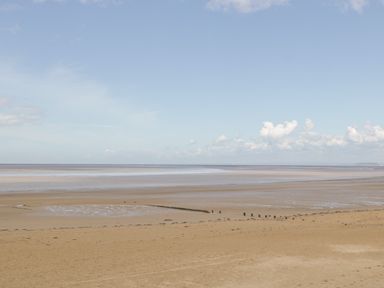 A sandy beach with wet sand and wooden posts extending into the sea at Seacider in Burnham-On-Sea