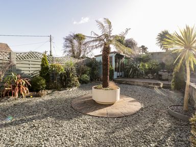 A garden with gravel ground a potted tree in the center plants along a fence and a garden shed at The Chalet in Benllech