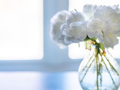 A clear glass vase with white flowers on a surface near a window at Cunsey Mill House Cunsey near Hawkshead