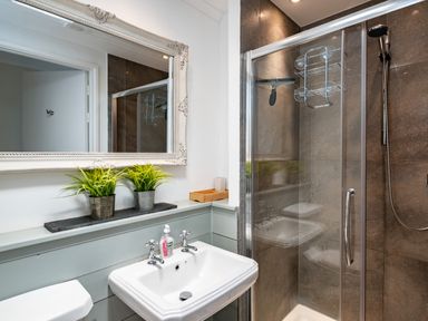 A bathroom with a white sink a mirror two potted plants and a shower with glass doors at Croft Elms in Trebetherick near Polzeath
