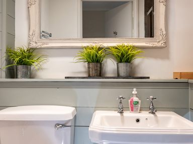 A bathroom sink and toilet with three potted plants and a large mirror at Croft Elms in Trebetherick near Polzeath