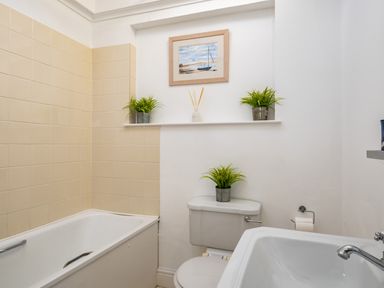 A bathroom with a bathtub toilet sink and three potted plants at Croft Elms in Trebetherick near Polzeath