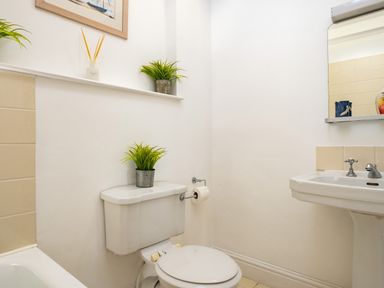 A bathroom with a toilet a sink a mirror and a bathtub with plants on the toilet and a shelf at Croft Elms in Trebetherick near Polzeath