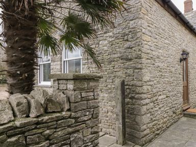 An outside view of a stone house with a palm tree and stone wall at The Old Haberdashery in Swanage