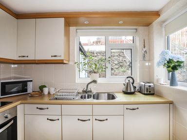 A kitchen with a sink toaster kettle microwave and plants on the countertop at Bwthyn Dwyfor in Beaumaris