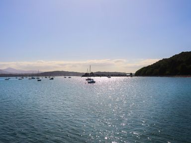 A body of water with sailboats and a tree-covered shoreline at Bwthyn Dwyfor in Beaumaris