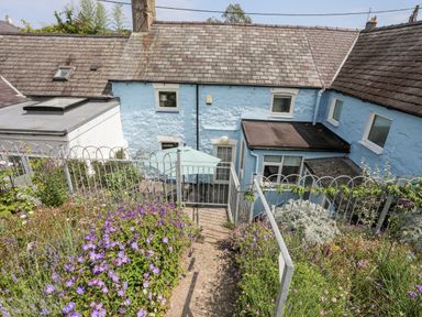 A garden with flowers and a pathway leading to a gate in front of a blue house at Bwthyn Dwyfor in Beaumaris