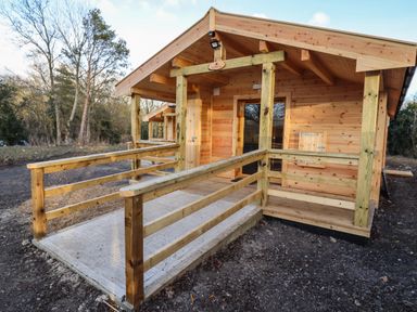 A wooden cabin with a small porch and railing in a wooded area at Buttercup Lodge in Theberton near Leiston