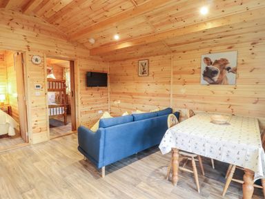 A wooden room with a blue sofa a dining table and chairs and a wall-mounted television at Buttercup Lodge in Theberton near Leiston