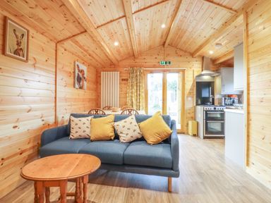A living room with a blue sofa and wooden table next to a kitchen area at Buttercup Lodge in Theberton near Leiston