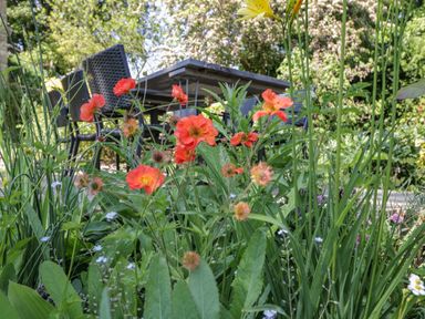 A garden area with red flowers and green plants in front of an outdoor table and chairs at Fox Den Cottage in Castle Combe