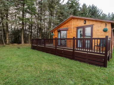 A wooden cabin with a deck and railing surrounded by grass and trees at The Treeline Swarland near Felton