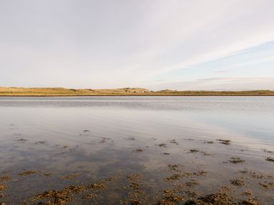 A calm body of water with seaweed near a sandy shoreline and grassland under a cloudy sky at The Beachhouse in Meenlaragh near Gortahork County Donegal