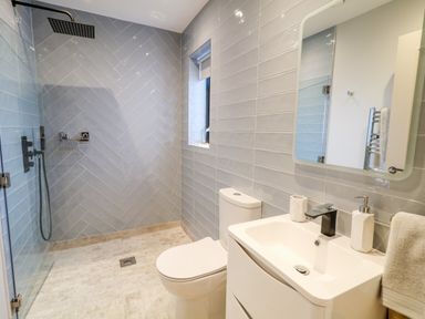 A bathroom with a walk-in shower a toilet and a sink with a mirror above at The Beachhouse in Meenlaragh near Gortahork County Donegal