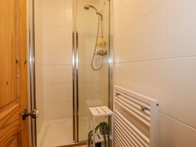 A shower stall with glass doors a wooden door and a small white plant stand with a plant in a bathroom at Primrose Cottage in Ambleside